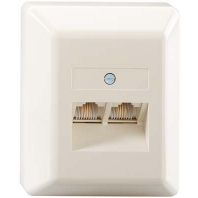 Image of IAE/UAE 2x8(4)TRS AP - 2x RJ45 8(4) Data outlet Cat.3 white IAE/UAE 2x8(4)TRS AP