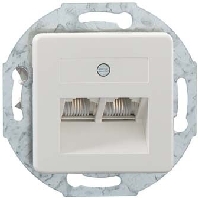 Image of IAE/UAE 2x8(4)Up50rw - 2x RJ45 8(4) Data outlet Cat.3 white IAE/UAE 2x8(4)Up50rw