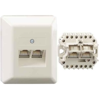 Image of UAE 8/8(8/8) Ap - 2x RJ45 8(8) Data outlet Cat.3 white UAE 8/8(8/8) Ap