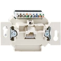 Image of UAE-Cat.6Aiso8UUp0mK - RJ45 8(8) Data outlet 6A (IEC) white UAE-Cat.6Aiso8UUp0mK