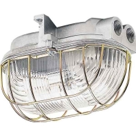 Image of 3610 - Ceiling-/wall luminaire 1x100W 3610