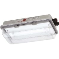 Image of nD849108 - Explosion proof luminaire fixed mounting nD849108