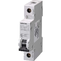 Image of 5SJ4125-7HG40 - Miniature circuit breaker 1-p C25A 5SJ4125-7HG40