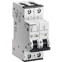 Image of 5SY5202-7 - Miniature circuit breaker 2-p C2A 5SY5202-7