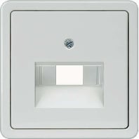 Image of 5TG1818 - Central cover plate UAE/IAE (ISDN) 5TG1818