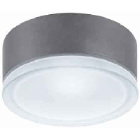 Image of DROP 22 anthr IAA - Surface mounted luminaire 1x60W DROP 22 anthr IAA