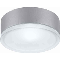 Image of DROP 28 gr-met IAA - Surface mounted luminaire 1x100W DROP 28 gr-met IAA