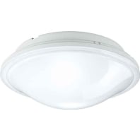 Image of UNICA Safe ws - Surface mounted luminaire UNICA Safe ws