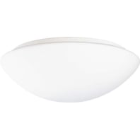 Image of RS PRO 500 G Slave - Ceiling-/wall luminaire 2x13W RS PRO 500 G Slave