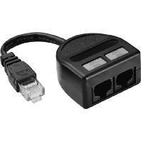 Image of J00029A0008 - Adapter RJ45 8(8) / 2x RJ45 8(8) J00029A0008