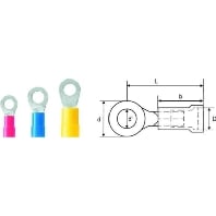 Image of LIR 2,5M8 V (100 Stück) - Ring lug for copper conductor LIR 2,5M8 V