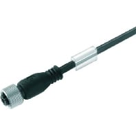 Image of SAIL-M12BG-4-5.0U - Sensor-actuator patch cord SAIL-M12BG-4-5.0U