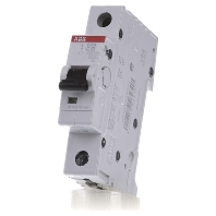 Image of S201-C13 - Miniature circuit breaker 1-p C13A S201-C13