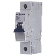 Image of B6S1 - Miniature circuit breaker 1-p B6A B6S1