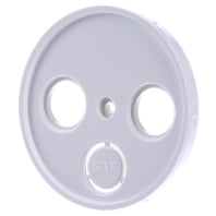 Image of 12032089 - Central cover plate 12032089