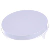 Image of 16202089 - Cover plate for switch/push button white 16202089