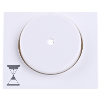 Image of 16746089 - Cover plate for time switch white 16746089