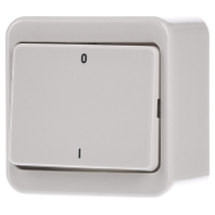 Image of 300240 - 2-pole switch surface mounted white 300240