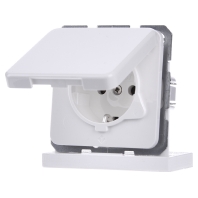 Image of 471509 - Socket outlet (receptacle) 471509