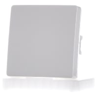 Image of 75940409 - Cover plate for switch white 75940409