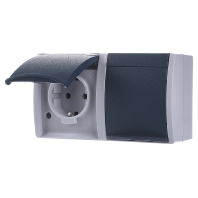 Image of 20/2 EW-53 - Socket outlet (receptacle) 20/2 EW-53