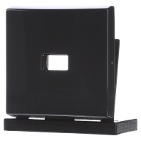 Image of 2120-35 - Cover plate for switch/push button 2120-35