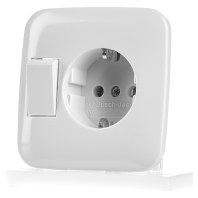 Image of 4310/6 EUJ-212 - Combination switch/wall socket outlet 4310/6 EUJ-212