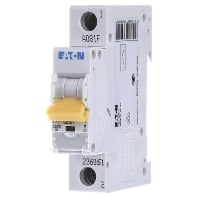 Image of PXL-C25/1 - Miniature circuit breaker 1-p C25A PXL-C25/1