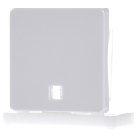 Image of 2136144 - Cover plate for switch/push button white 2136144