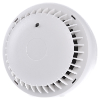 Image of FRW-ws - Optic fire detector FRW-ws