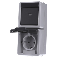 Image of 017630 - Combination switch/wall socket outlet 017630