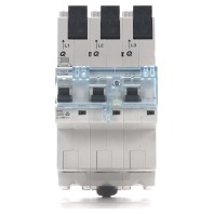 Image of HTS363E - Selective mains circuit breaker 3-p 63A HTS363E