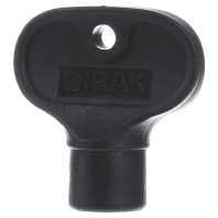 Image of DS 1 - Special key for enclosure DS 1