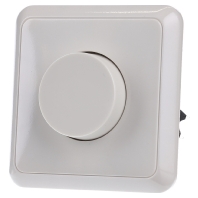 Image of 5544.02 V - Dimmer flush mounted 60...400VA 5544.02 V