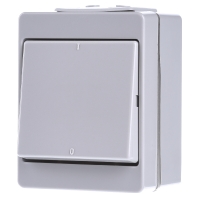 Image of 603 W - 3-pole switch surface mounted grey 603 W