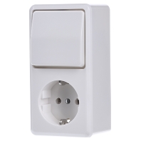 Image of 676 A WW - Combination switch/wall socket outlet 676 A WW