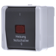 Image of 802 HW - 2-pole switch surface mounted grey 802 HW