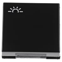 Image of A 590 L SW - Cover plate for switch/push button black A 590 L SW