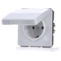 Image of CD 1520 BFKL LG - Socket outlet (receptacle) CD 1520 BFKL LG