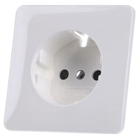 Image of CD 520 KI BF WW PL - Cover plate CD 520 KI BF WW PL