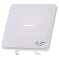 Image of CD 590 KO5L - Cover plate for switch/push button CD 590 KO5L