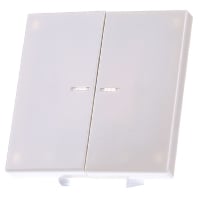 Image of LS 995 KO5 - Cover plate for switch/push button LS 995 KO5