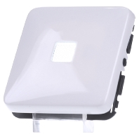 Image of 776208 - Cover plate for switch/push button white 776208