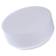 Image of 89010 - Surface mounted luminaire 1x75W 89010