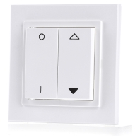 Image of DS RC - Switch surface mounted white DS RC