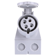 Image of 2983A - Wall-mounted CEE-socket CEE-Socket 32A 2983A