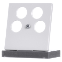 Image of 296519 - Central cover plate 296519