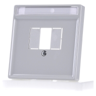 Image of 297829 - Central cover plate TAE 297829