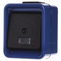 Image of 370675 - Two-way switch surface mounted blue 370675, special offer