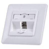 Image of TN C6Amod-1UP-180rw - RJ45 8(8) Data outlet 6A (IEC) white TN C6Amod-1UP-180rw